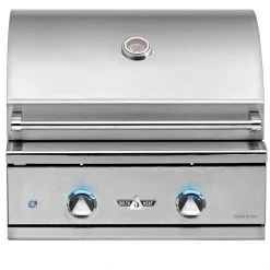 Delta Heat 26" 2 Burner Built-In Gas Grill