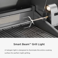 DCS Series 7 Traditional 48-Inch Built-In Gas Grill With Rotisserie