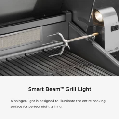 DCS Series 7 Traditional 48-Inch Built-In Gas Grill With Double Side Burner & Rotisserie 11 DCS Series 7 Traditional 48-Inch Built-In Gas Grill With Double Side Burner & Rotisserie