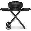Napoleon BBQ Grills I Smokers Napoleon Phantom TravelQ Pro 285X