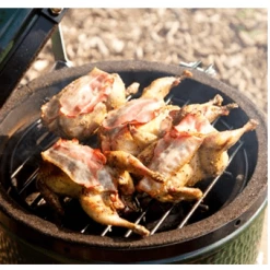 Big Green Egg Mini Egg